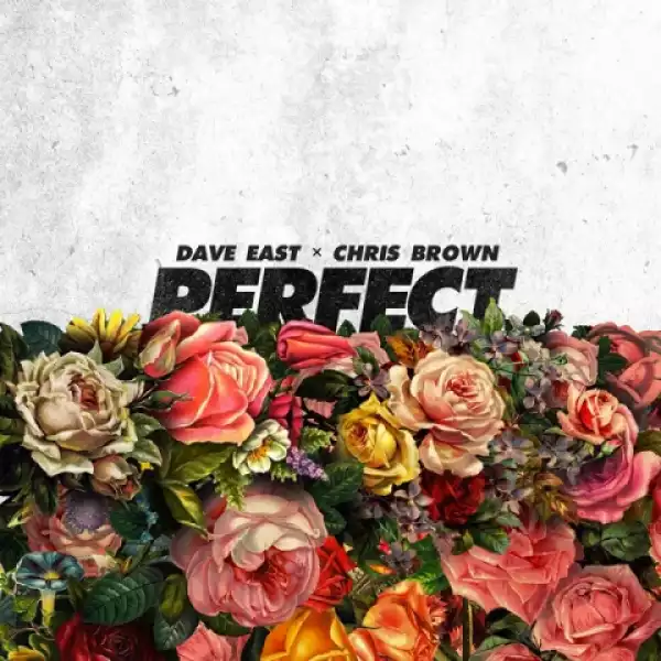 Instrumental: Dave East - Perfect Ft Chris Brown (Instrumental)